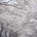 보령-주산-1 이미지