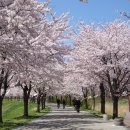 바우길 16구간 이미지