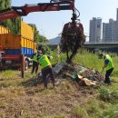 하천(비산대교) 이미지