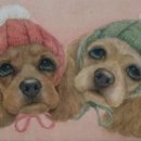 [3월 재능나눔] 어린강아지 보호자 교육 | 집으로] "그림보는 강아지" (2015년 2월 28일 ~ 3월 11일 팔레드서울) 오픈 후기[이데아의유기견이야기1,2]