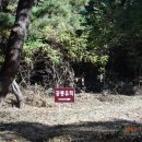 느티나무 일원 이미지