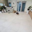 동물병원 다움 이미지