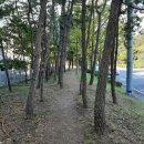 KT송정빌딩 이미지