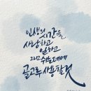 캘리로여행