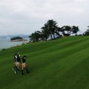 더 리얼사우스 이미지