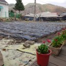 평팔농장 이미지