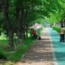 아랫배랭이로 이미지