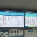 이디야 커피 무주점 | 전북 무주 | 2025 무주산골영화제 첫 관람 기록