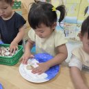 9월 1주 아리솔반 놀이사진입니다. 이미지