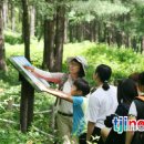 연화산 유아숲체험원 이미지