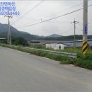 금평목장 네이버블로그