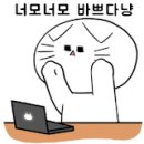 카페딜리버리