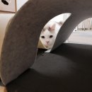 고양이호텔 묘랑묘랑 이미지