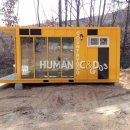 힐링애견 이미지