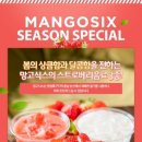 망고식스 - 서구 풍암1로21번길 7 | 망고식스