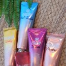 NP 컨디셔닝 이미지