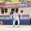 강호체육관(태권도) 이미지