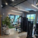 팀 드래곤 이미지