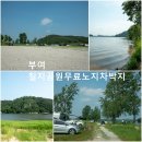 신리 금강변 네이버블로그
