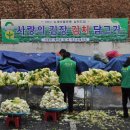 가경동새마을 '사랑의김장김치' 행사 제2부 : 김장담그기 이미지