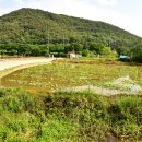 칠곡 지경당 이미지