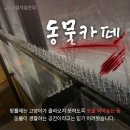 동물 학대하는 동물카페 버젓히 영업중 (24.01) 이미지