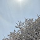 성남이로38번길 이미지