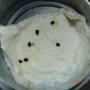 아스테리아 이미지