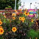런던의 꽃 개화: 정원이 지하철역에서 번성 - 포토에세이 이미지