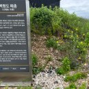 백령도 패총 이미지