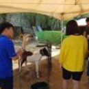 성주중학교가천분교장 이미지