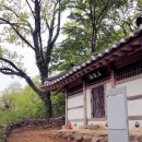 선유도 오룡묘 이미지
