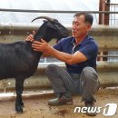 친환경 염소농장 이미지