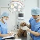 나루 동물병원 이미지