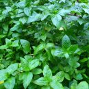 뽑기 좋은날 이미지