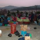 성우보육원 이미지