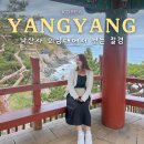 소망떡방앗간 | 양양 낙산사 의상대에서 보는 절경 산책코스