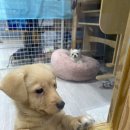 옹기종기 이미지