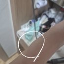 국립마산병원 | [임신일기 9장]29주 4일 정기검진+태동&amp;수축검사+백일해 주사