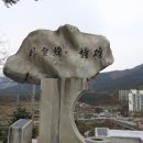 내린천의 봄 이미지