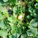 순성어린이집 이미지