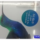 세븐일레븐 강서화곡신정점 이미지