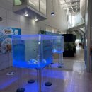 충무공 수산 네이버블로그