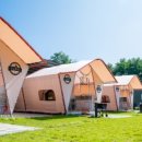 테하스랜드 글램핑장 이미지