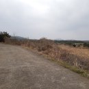 (#성산읍토지매매) 제주 서귀포시 성산읍 난산리 제2신공항 수혜지역 - 서성일로(2차선도로) 인근 위치 건축가능한 저렴한 투자용 토지 급매(평당 35만원) 이미지