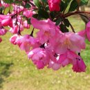 가천박물관 이미지