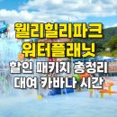 웰리힐리파크 오토캠핑장 | 웰리힐리파크 워터플래닛 할인 패키지 카바나 대여료 시간