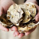 접도어촌체험휴양마을 이미지