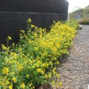 옥길농장 이미지