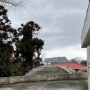 한라산약국 네이버블로그